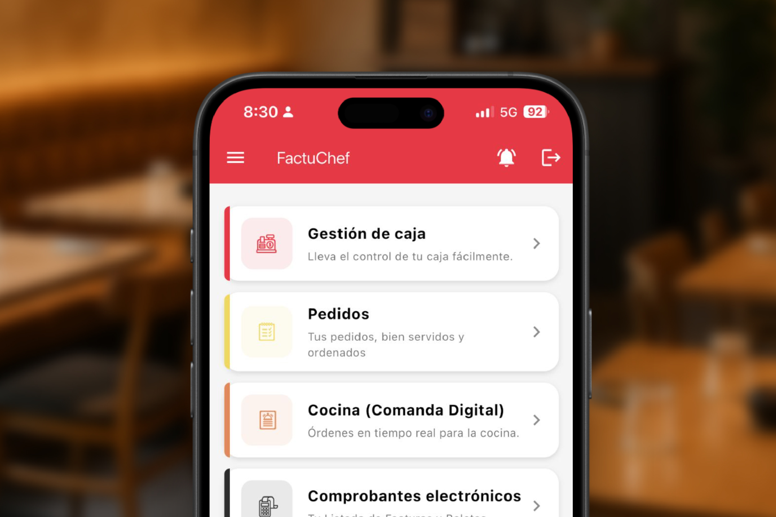 Vista funcional de la app